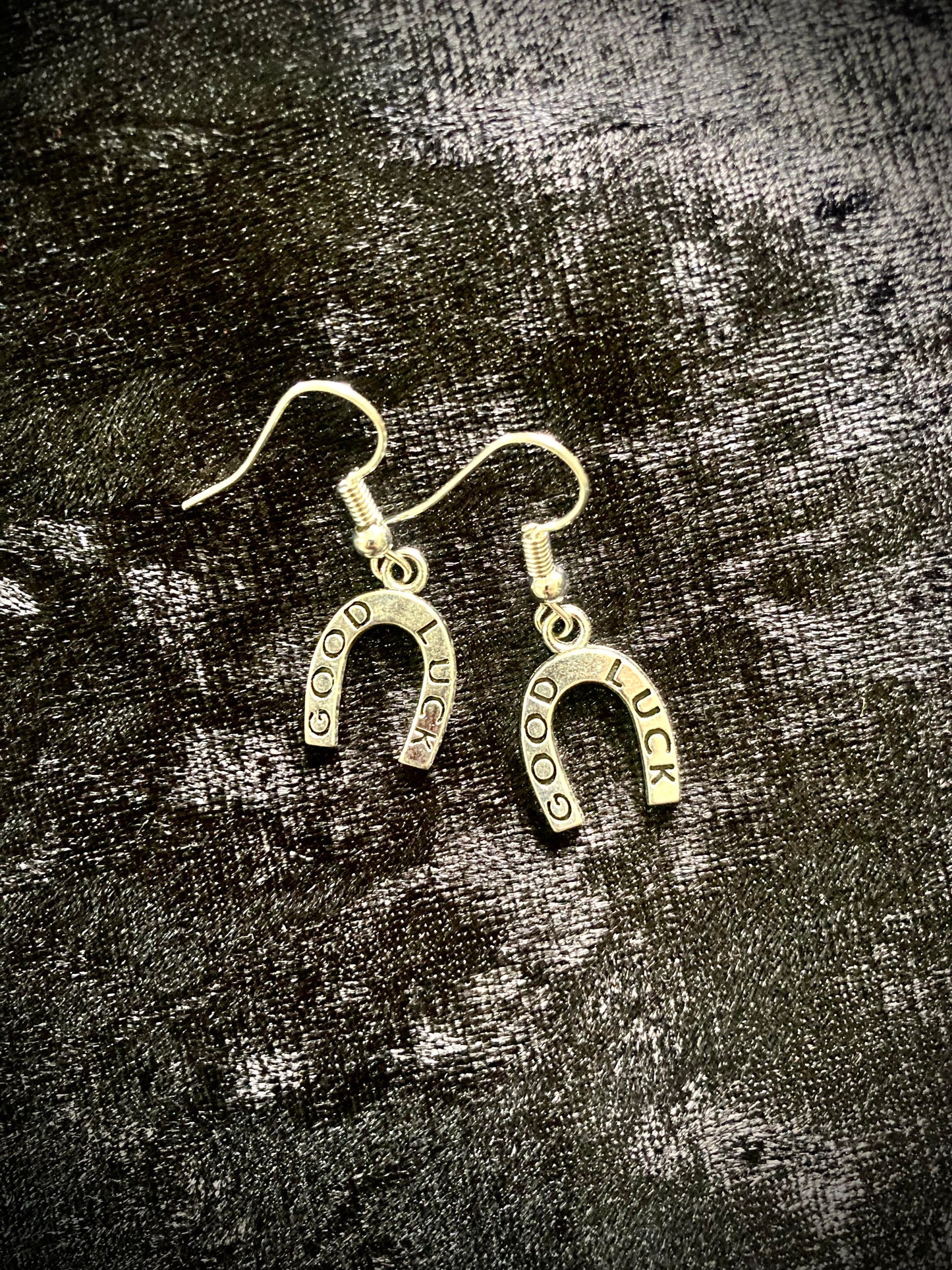 Good Luck Horse Shoe Earrings